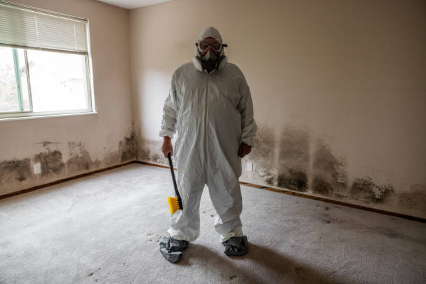 Forestville, OH Mold Removal Company